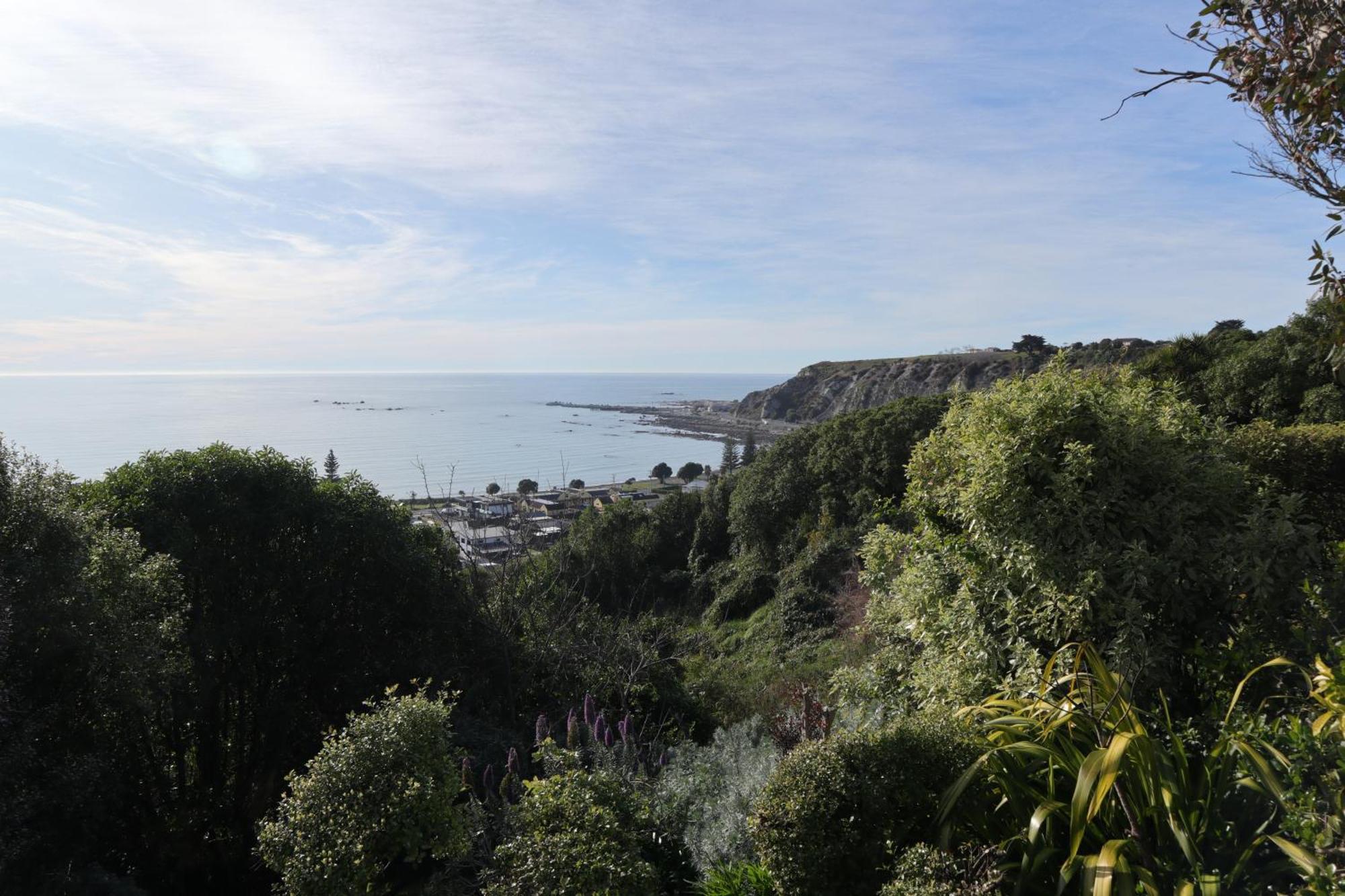 Villa Absolutely Kaikoura Esterno foto